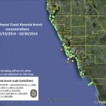 Sanibel Red Tide Report, 10-31-14 – Some Red Tide Offshore