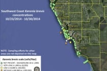 Sanibel Red Tide Concentrations, 10-23-14 ~ 10-30-14.