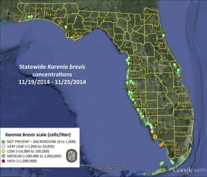 Sanibel Red Tide, Statewide Map (November 26, 2014), Courtesy OF FWC.