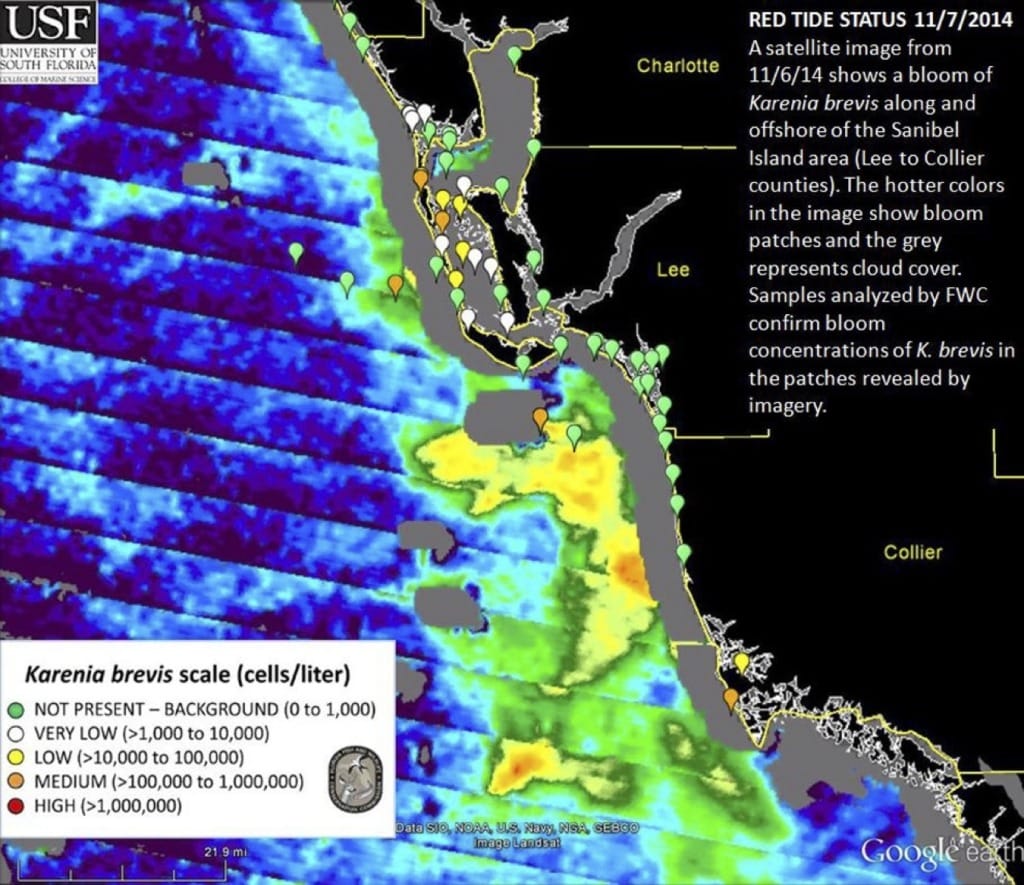 Sanibel Red Tide Status Map, 11-7-14, Courtesy Of FWC.