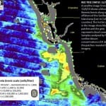 Sanibel Red Tide Report – 11-7-14