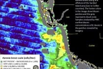 Sanibel Red Tide Status Map, 11-7-14, Courtesy Of FWC.