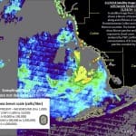 Sanibel Red Tide Midweek Report – Red Tide Moves South