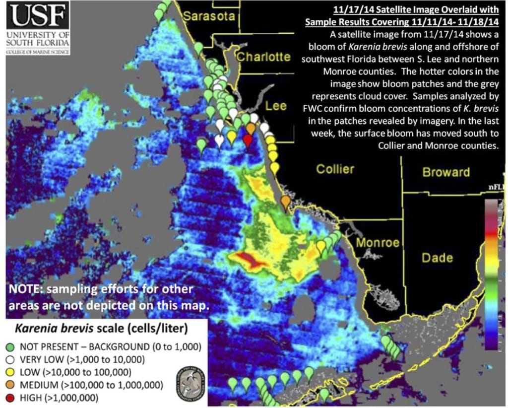 Sanibel Red tide Midweek Report, 11-19-14.