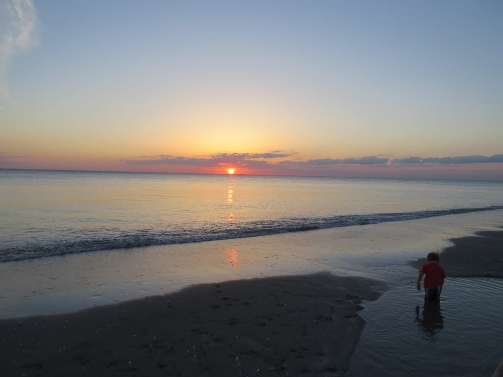 Sanibel Sunset, Post Prescribed Burn, Photo Credit - Laurel Burnsed.