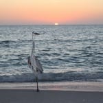 Sanibel & Captiva: Restaurants Open Thanksgiving Day