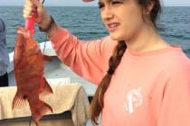 Hogfish, 12-28-14, Best Tasting Fish Off Sanibel & Captiva Islands!