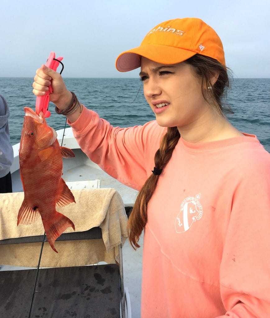 Hogfish, 12-28-14, Best Tasting Fish Off Sanibel & Captiva Islands!