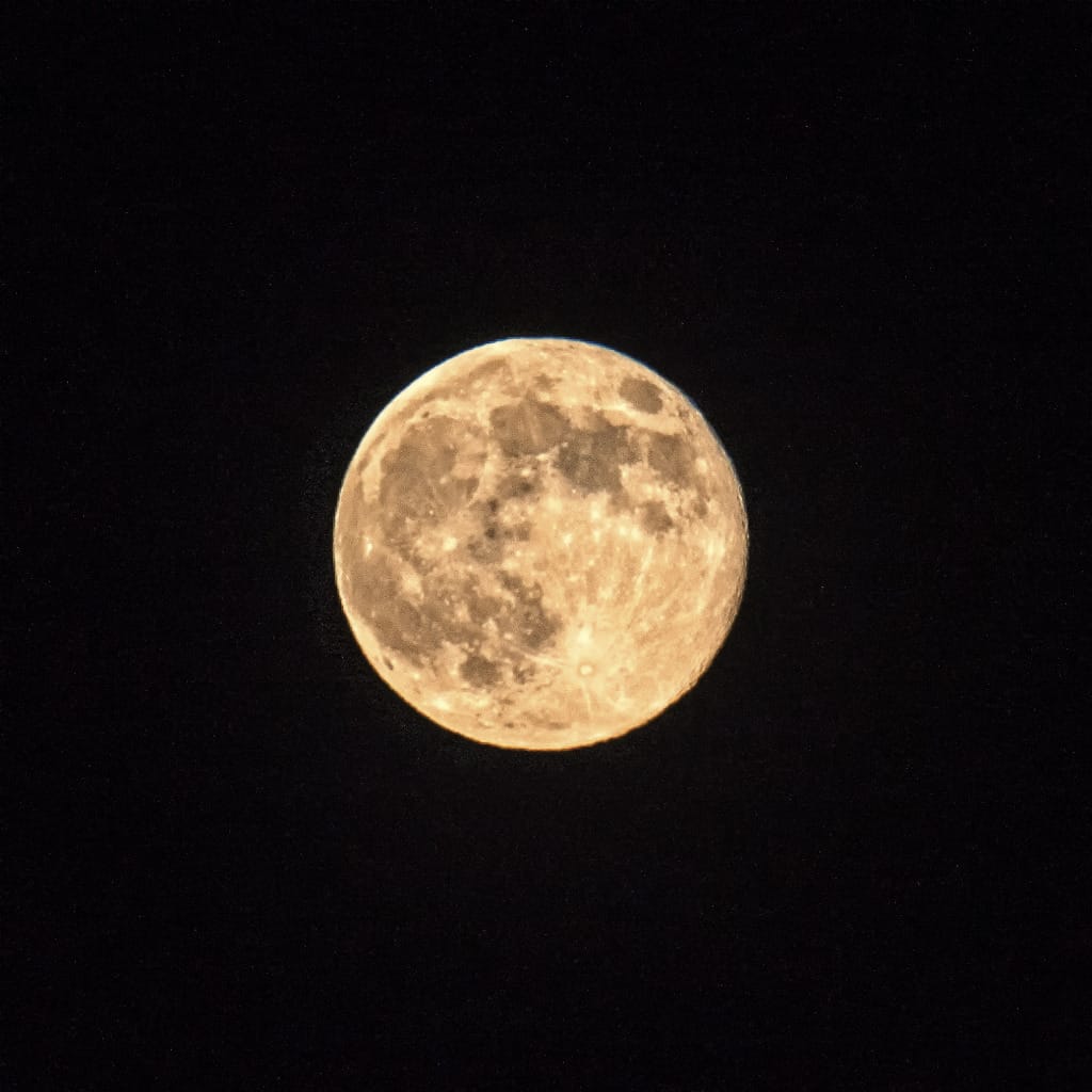 Sanibel Dark Sky Ordinance, File Photo by Steve Corey, Via Creative Commons.