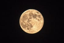 Sanibel Dark Sky Ordinance, File Photo by Steve Corey, Via Creative Commons.