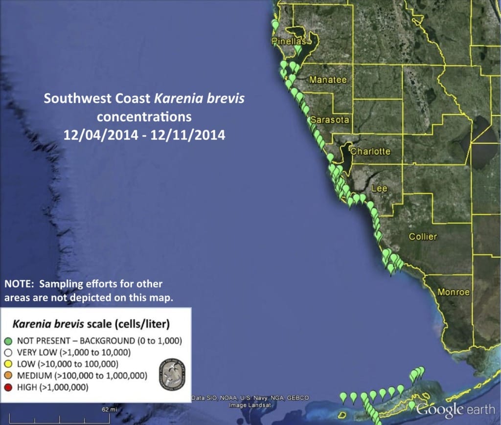 Sanibel Red Tide Report, 12/11/2014.