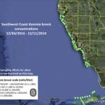 Sanibel Red Tide Report – No Red Tide