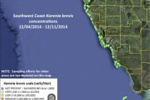 Sanibel Red Tide Report, 12/11/2014.