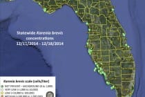 Sanibel Red Tide Report, Statewide Karenia Brevis Concentrations 12:11:2014 - 12:18:2014.