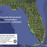 Sanibel Red Tide Midweek Report – No Red Tide