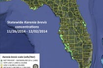 Sanibel, Statewide Red Tide Karenia Brevis Concentrations 11:26:2014 - 12:02:2014, Courtesy Of FWC.