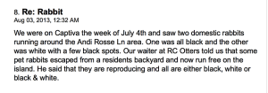 TripAdvisor, 2013 Captiva Island Rabbit Invasion.
