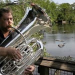 Alligators In B Flat; Tuba Plays & Alligators Bellow Back