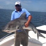 Catch & Release Of The Week, Bull Sharks!