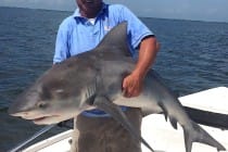 Jimmy Burnsed, Big Shark, Sanibel Rentals & Sanibel Fishing.