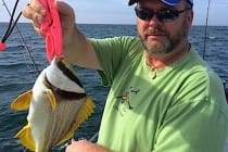 Porkfish, 1-17-15, Sanibel Fishing.