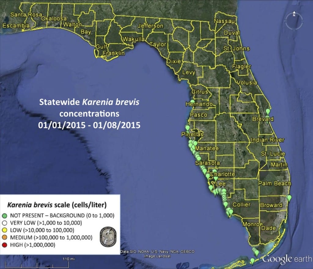 Sanibel Red Tide Report, Statewide Status, Karenia Brevis Concentrations 01:01:2015 - 01:08:2015.