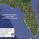 Sanibel Red Tide Report – No Red Tide