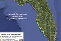 Sanibel Red Tide Report, Statewide Status, Karenia Brevis Concentrations 01:01:2015 - 01:08:2015.