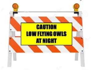 Eastern Screech Owl, Proposed Temporary Signage For Sanibel Captiva Road.