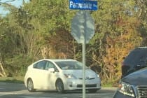 Periwinkle Way By Brenda Denton Via Creative Commons.
