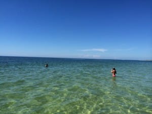 Shelling & Snorkeling, Seashells, Cayo Costa.