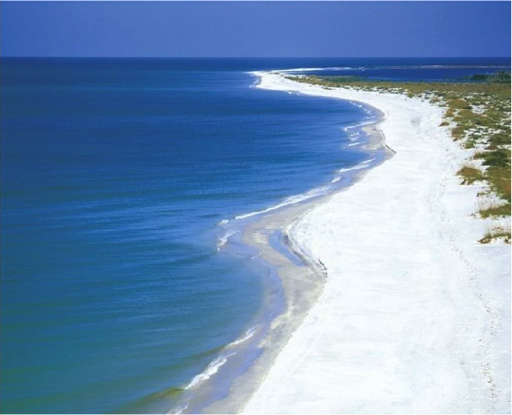 Shelling, Seashells, Cayo Costa.