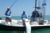 250 LB. Tarpon, "Ding" Darling Doc Ford's Tarpon Tourney.