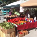 Sanibel Farmers Market
