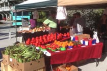 Sanibel Rentals, Sanibel Farmers Market, 3-29-15, Sundays During The Winter Months.