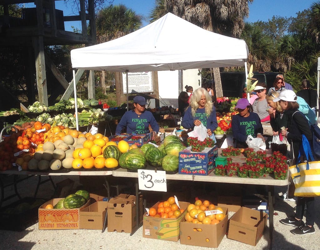 Sanibel Rentals, Sanibel Farmers Market 2, 3-29-15, Sundays During The Winter Months.