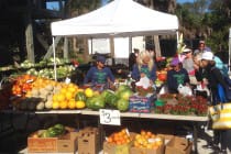 Sanibel Rentals, Sanibel Farmers Market 2, 3-29-15, Sundays During The Winter Months.