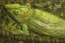 Chameleon andres_1, Courtesy Of "Ding" Darling Upcycle.