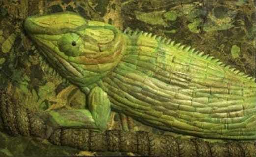 Chameleon andres_1, Courtesy Of "Ding" Darling Upcycle.