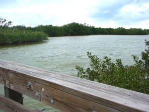 Sanibel Island, Clam Bayou By Erin, Via Creative Commons.