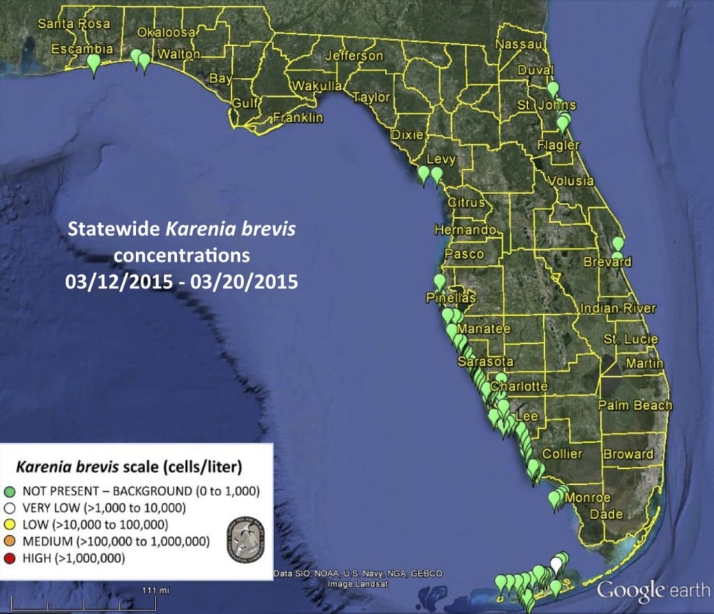 Sanibel Red Tide Report, Statewide Status, Karenia Brevis Concentrations 03-12-2015 - 03-20-2015.