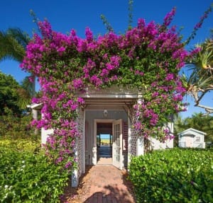 Captiva Rentals, Little Bokeelia Island, Walkway, Courtesy Of Michael Saunders & Company.