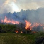 Prescribed Burn Of The Bailey Tract