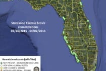 Sanibel Rentals, Red Tide Update, 4-3-15, Statewide Karenia Brevis Concentrations 03:26:2015 - 04:02:2015.