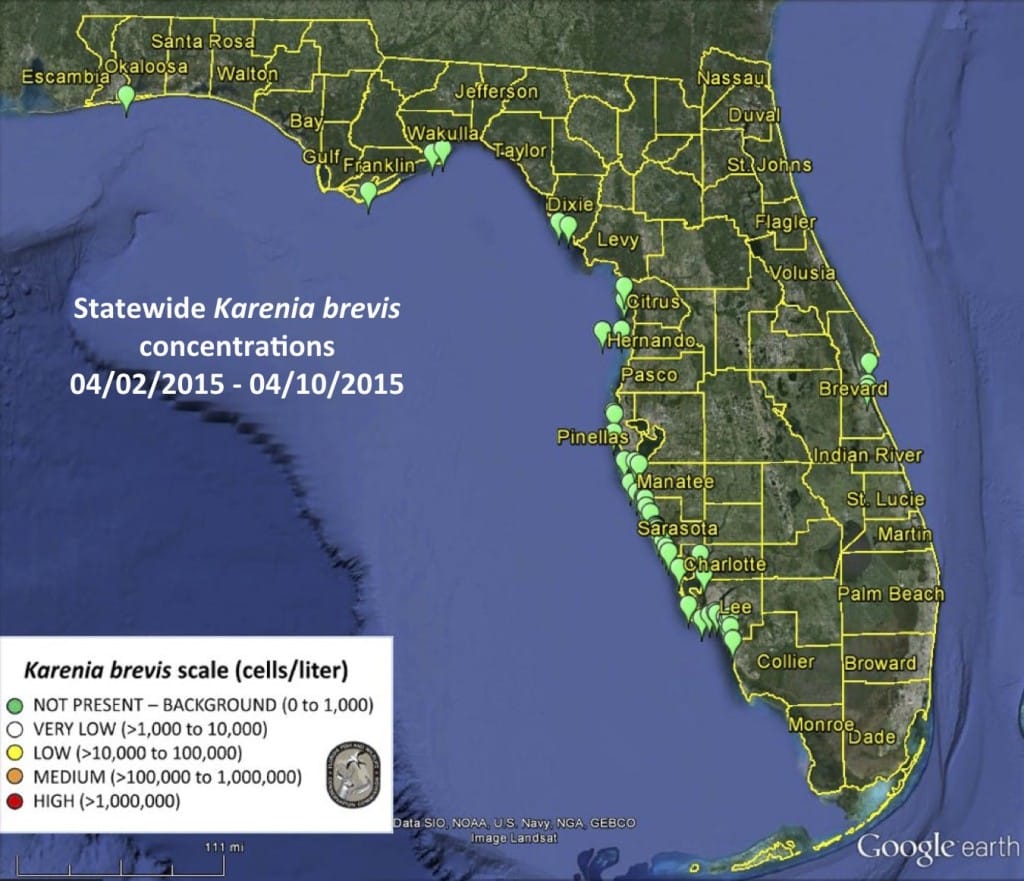 Statewide Karenia BSanibel Rentals, 4-12-15, Statewide Karenia Brevis Concentrations 04/02/2015 - 04/10/2015.