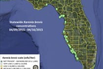 Sanibel Rentals, 4-17-15, Statewide Karenia Brevis Concentrations 04/09/2015 - 04/16/2015.