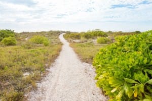 Captiva Rentals, Avoca, Beach Path.