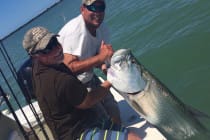 Sanibel Rentals: Tarpon, 5-7-15 "Ding" Darling Doc Ford's Tarpon Tourney.