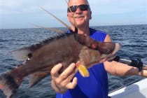 Sanibel Fishing, Hogfish, Hog Snapper