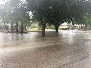 Entrance to the Rocks, 1-15-16, Courtesy Of City Of Sanibel.